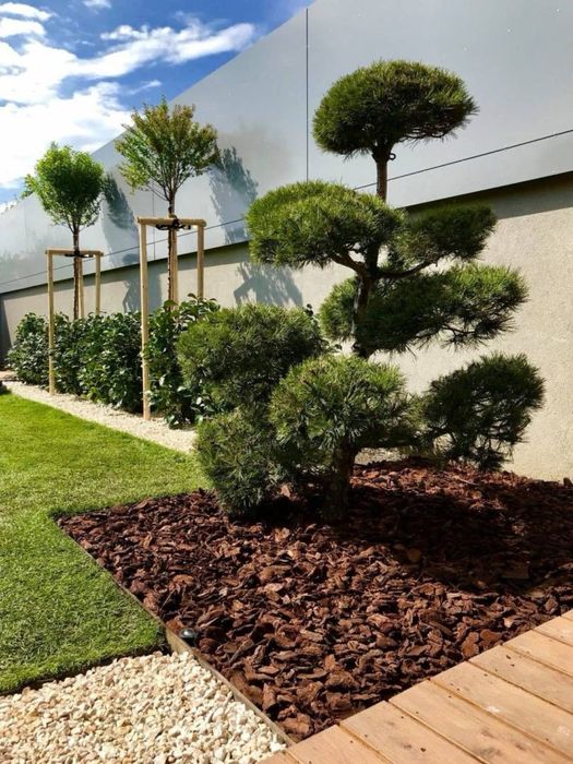 Сосновая кора для декора и ландшафта