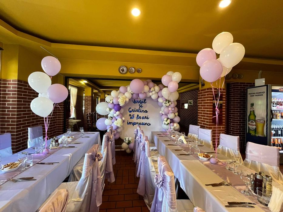 Arcade baloane de la 1000 lei ursitoare botez animatori copii-145 leih