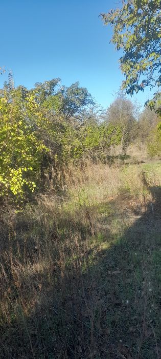 Продава се Къща в с. Рогозен, Област Враца - 60 кв.м за 85 €/кв.м - Снимка #3