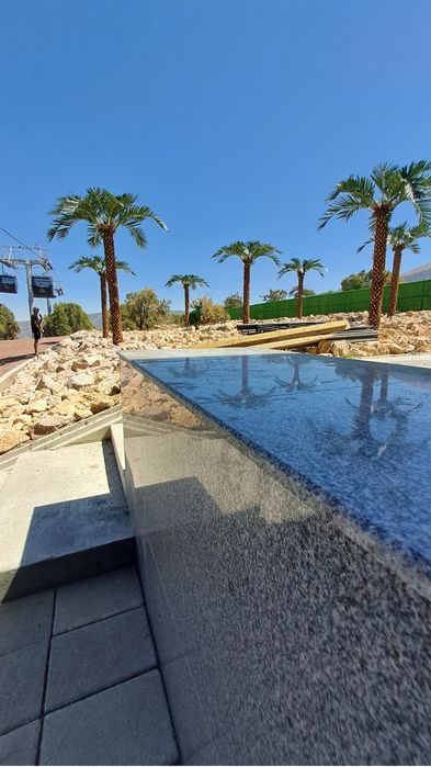 Farg‘onada  | Villa/restoran uchun lux suniiy palma 3m–8m — -30%