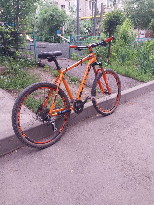Giant rincon disc 2024