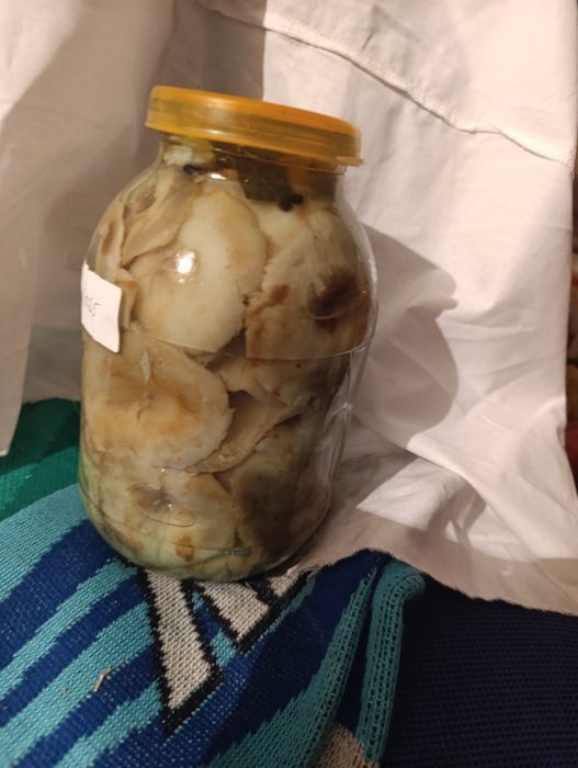 Грузди   солёные