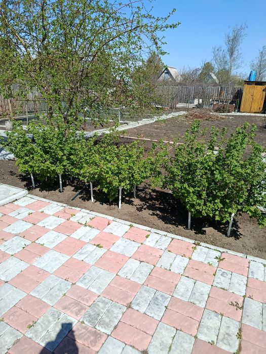 Продается ухоженная дача