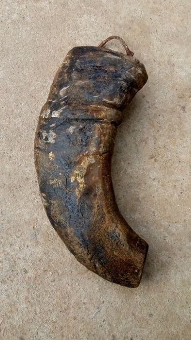 Стар рог катраница