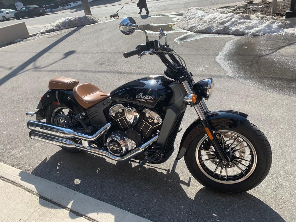 olx indian scout