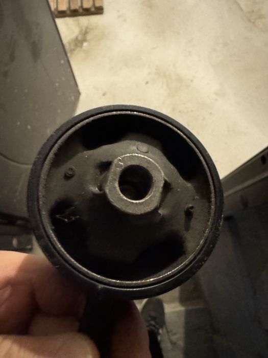 Гитара на максиму цефиро