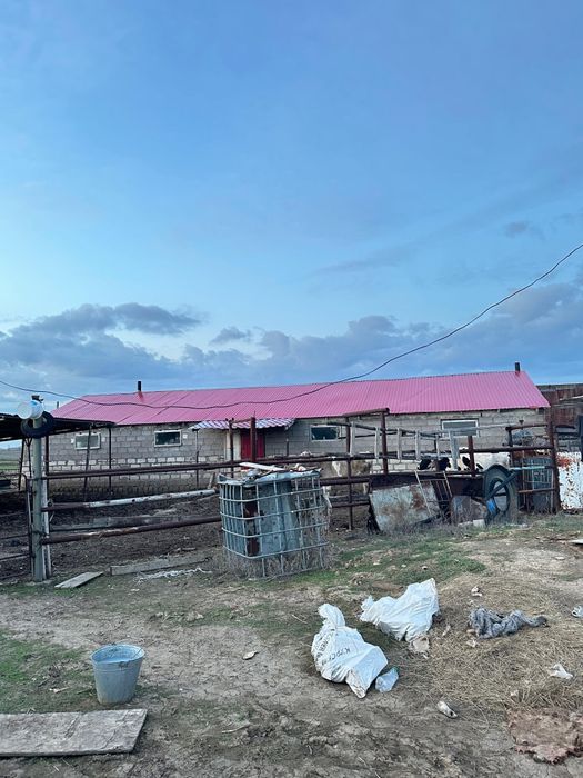 Продается кх не долеко от города