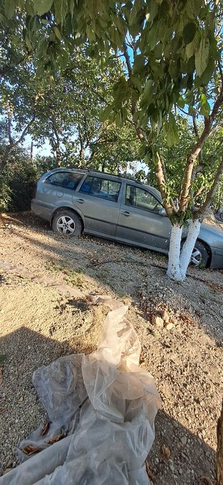Vand piese skoda octavia