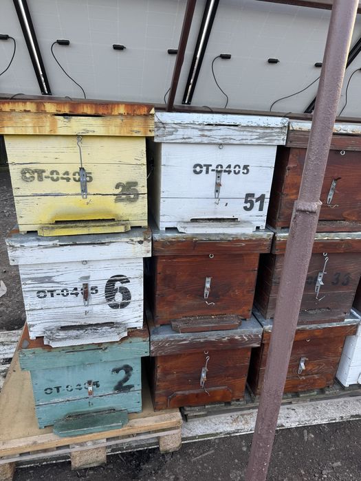 Vand stupi (cutii) 10 rame si magazie 1/2