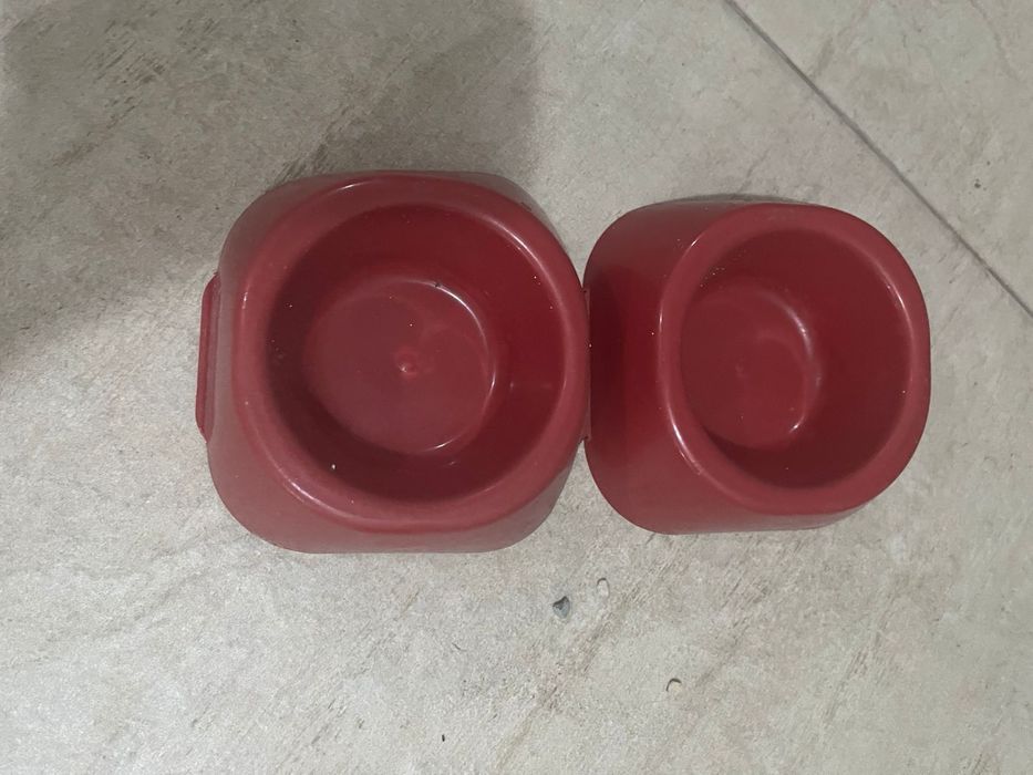 Мысыққа арналған лоток + ыдыс