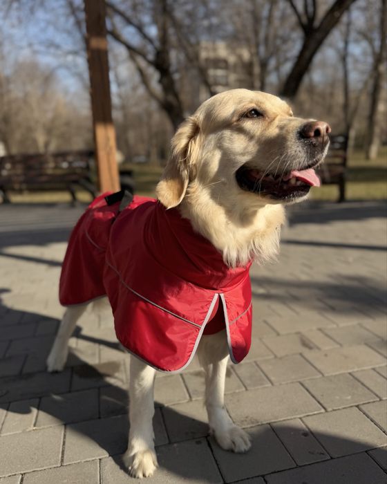 Дождевик для собак