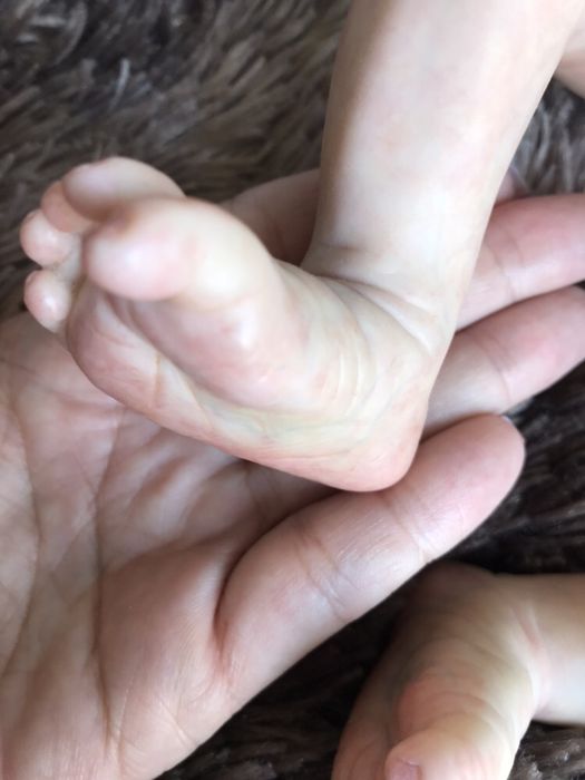 продам куклу реборн, сплюша