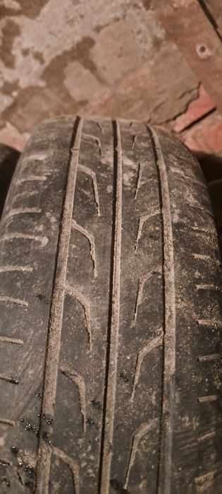 Резина летняя кордиант