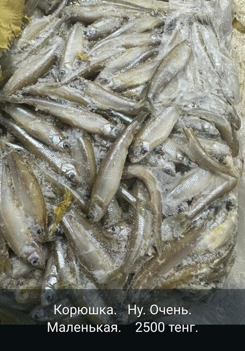 Рыба в ассортименте