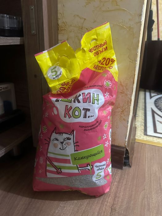 Вислоухая кошка 2 годика