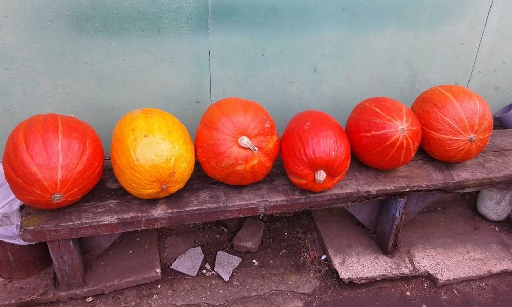 Продам тыкву. Продам тыкву.