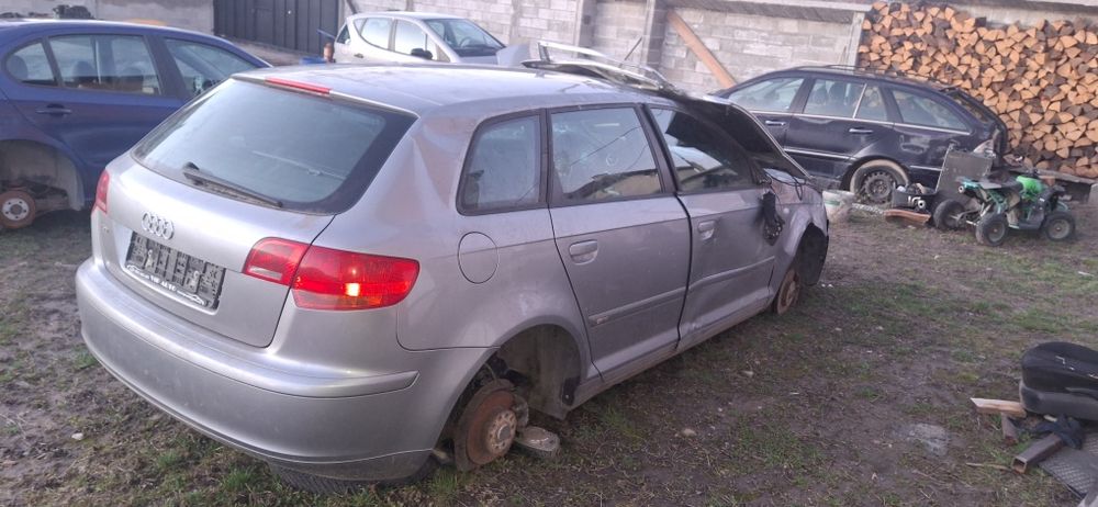 Ауди а3 8п 2.0 tdi  140  dsg