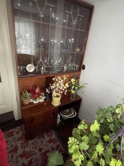 Donez vitrina din lemn