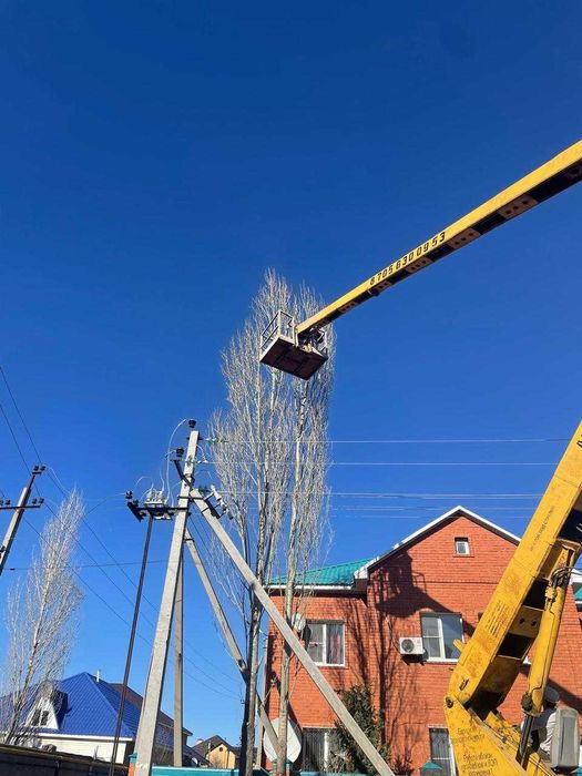 Спил санитарная обрезка  аварийных деревьев