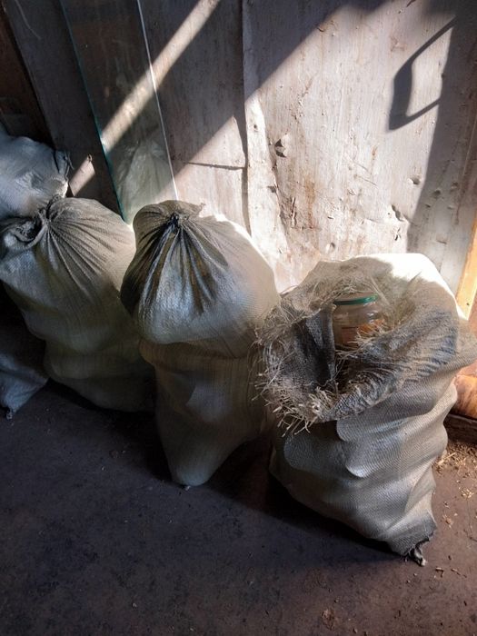 Бесплатно стеклянные банки