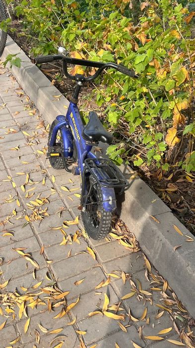 Велик беркут в хорошем состоянии