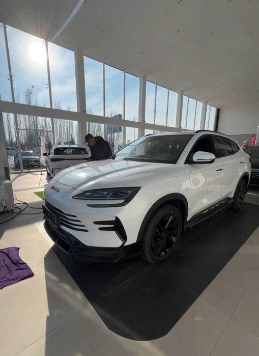 Body kit Обвес BYD Champion