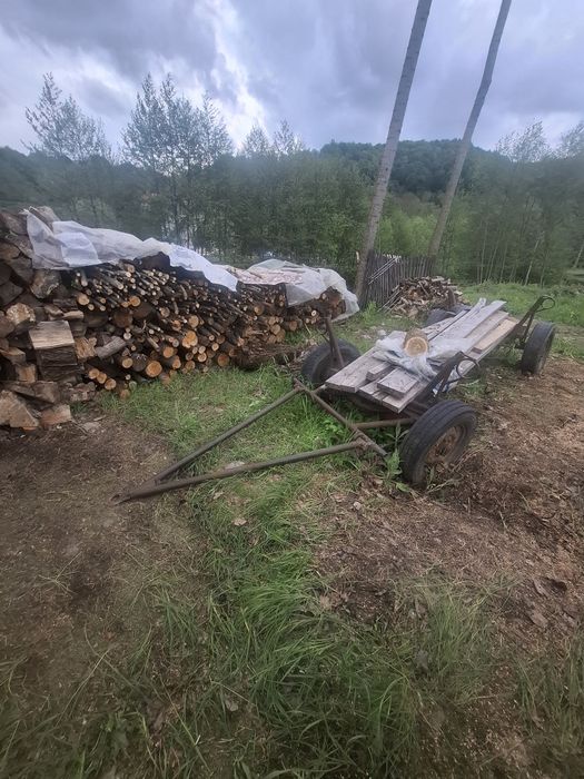 Caruta si plug de vanzare