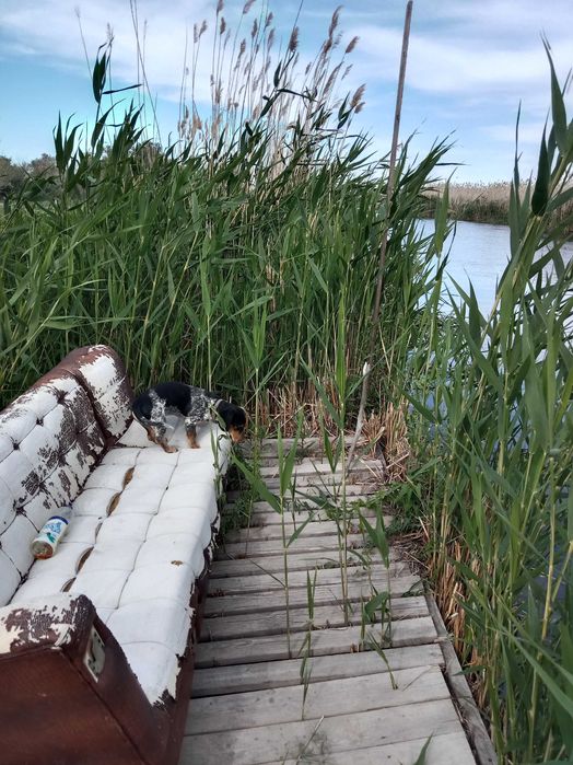 Отдых и рыбалка Балхаш