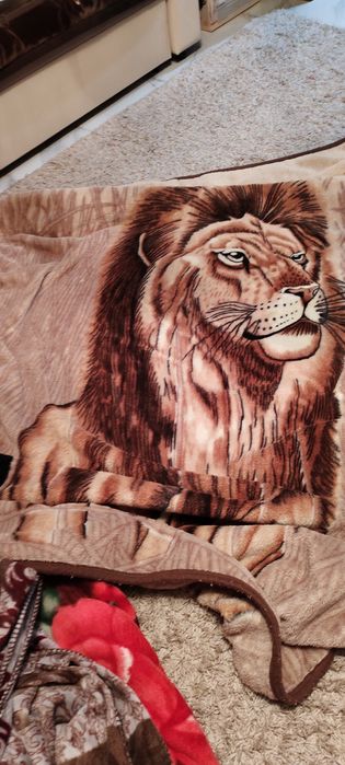 Пледы в хорошем состоянии.