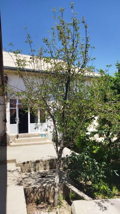 Qarshi shaxar markazidan 4 sotixli hovli