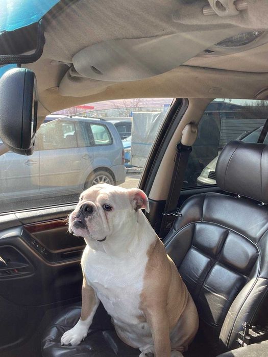 Jeep Grand Cherokee 2.7 CRD