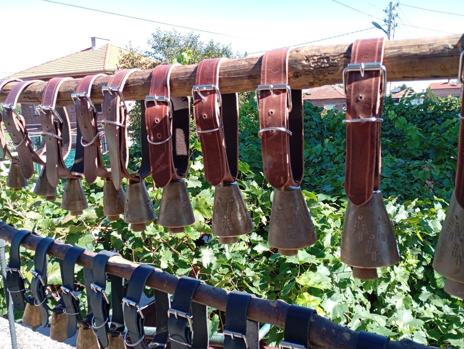 Чанове Звънци два модела