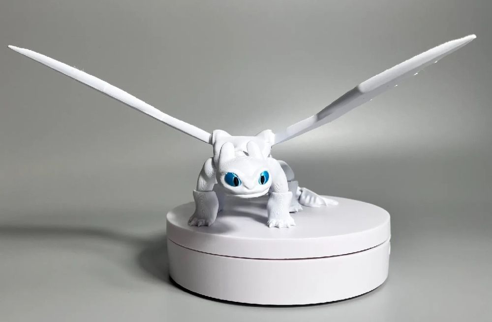 Беззубик белый и чёрный подвижные.