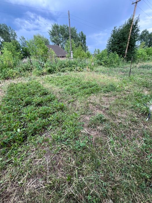 Продам Дачу на берегу Иртыша СТ.Черемушки.48м²