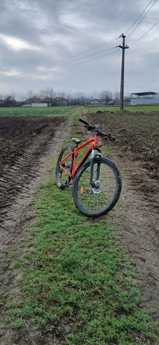 Rokrider explor 500