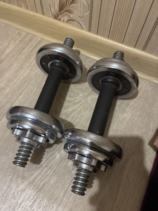 Серебристые гантели