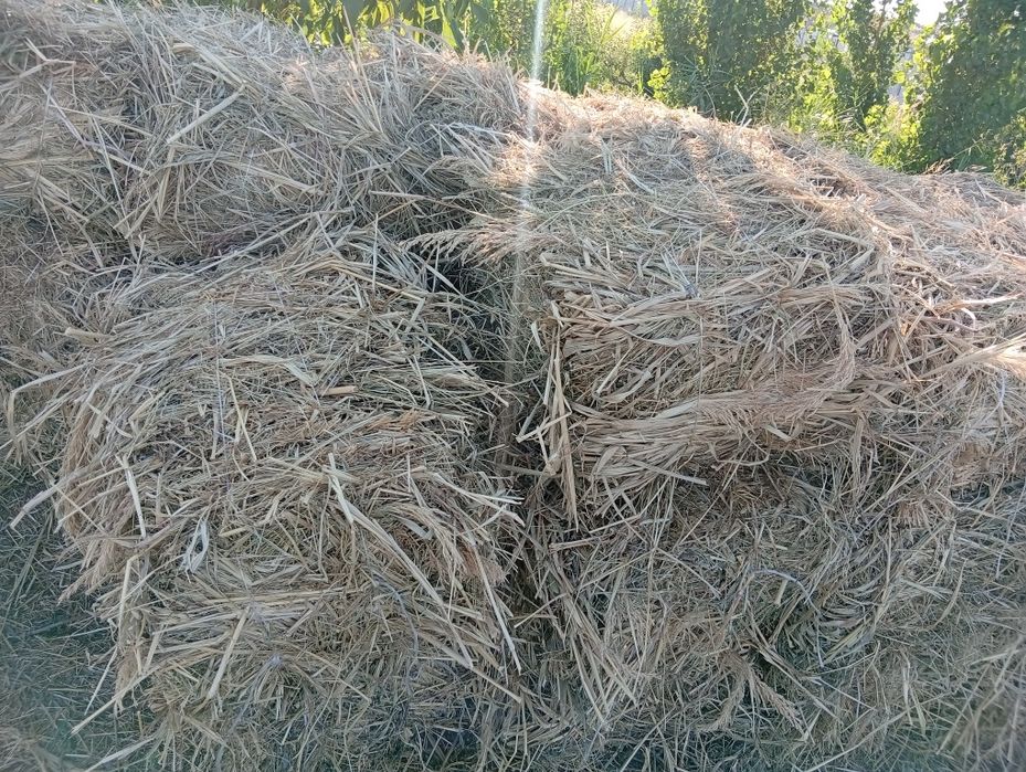 Hashak beda aralash  press 2-o'rim