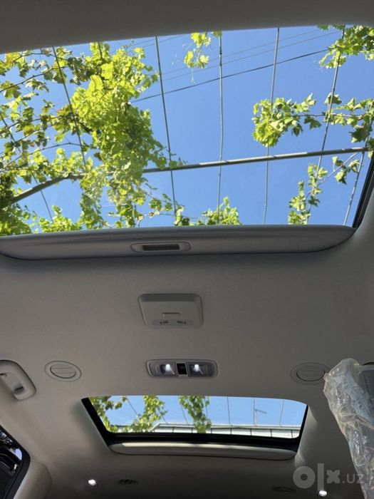 Kia carnival hybrid