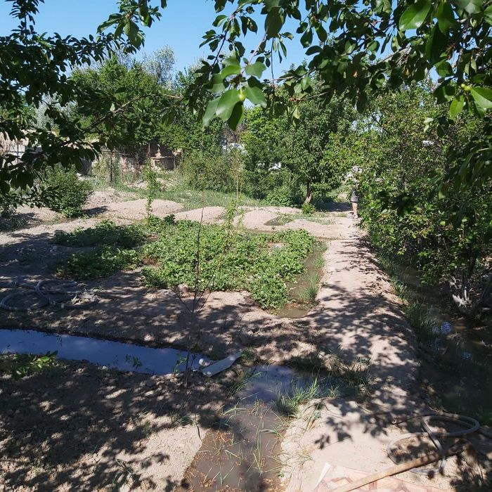 Срочно! Дом (силикатный кирпич)