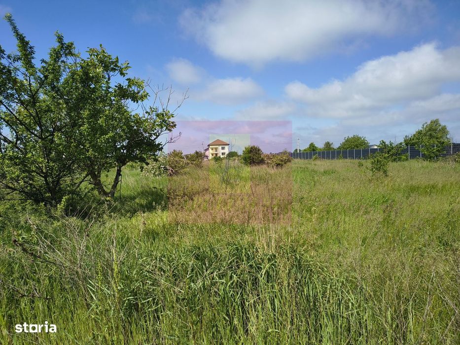 Teren intravilan 1 Decembrie – loturi 600–720 mp + cotă drum Utilitati
