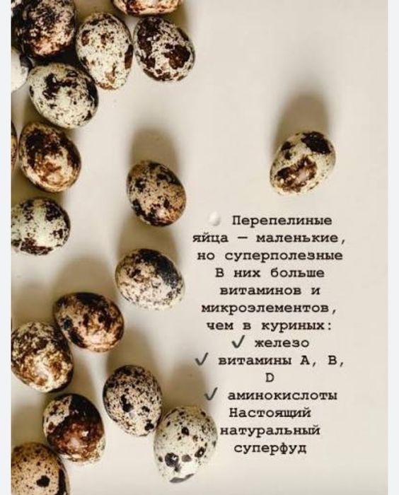 Бөдене жұмыртқасы.