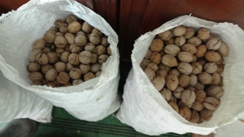 Орехи грецкие продам
