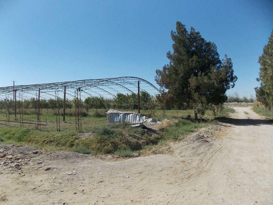 Ер сотилади. Когон тум,БАХОВУДДИН НАКШБАНД,Киракашхона кишлоги 50сотик