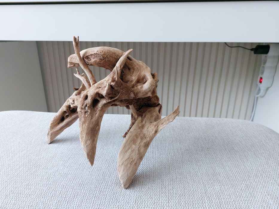 Корен за аквариум