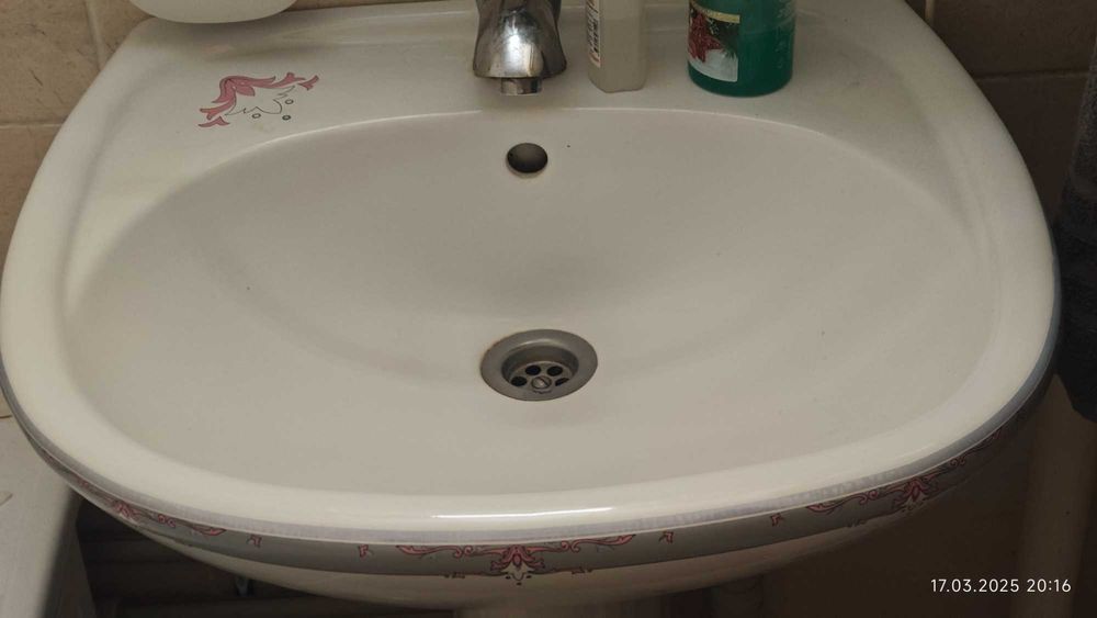 Раковина тюльпан