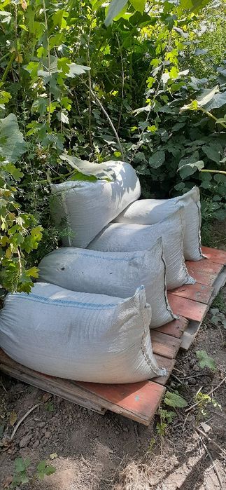 Биогумус табиғи тыңайтқыш