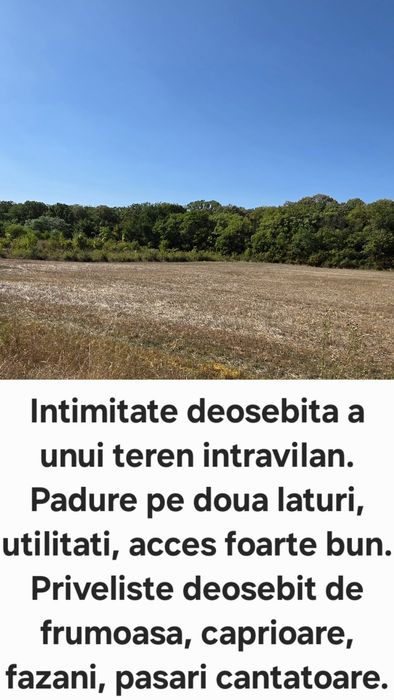 Teren intravilan unic, zona noua langa padure, Bucuresti si Ilfov