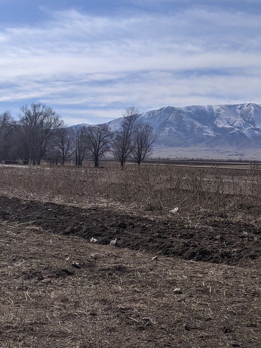 Участки в аренду