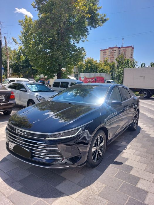 Byd chazor gibrit