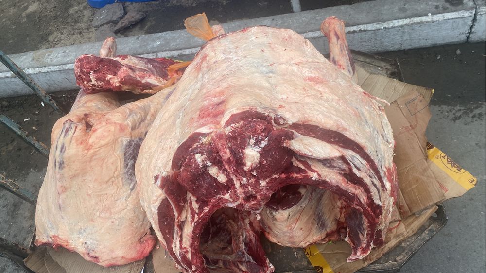 Согым сиыр жылкы